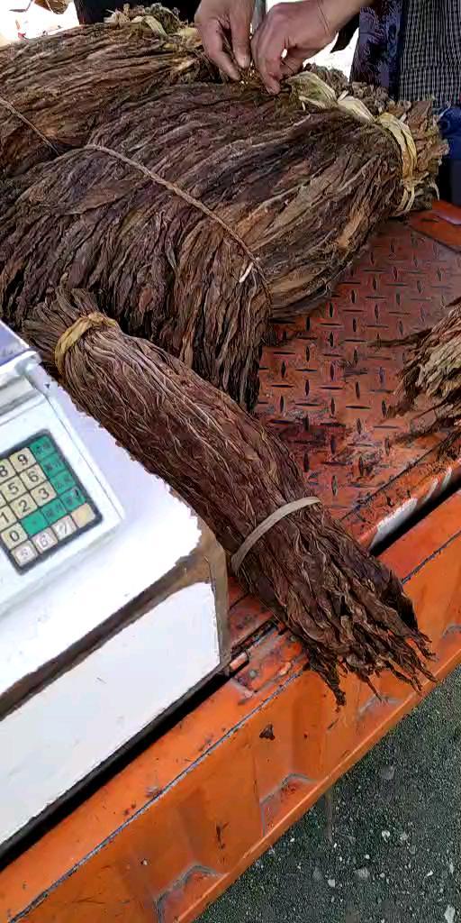 叶子烟是四川民间对晒烟俗称另外也有人将它称为土烟或旱烟