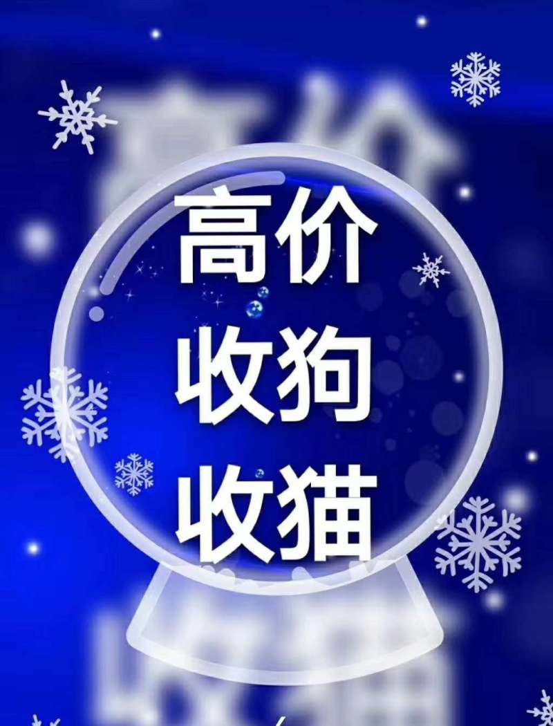 高价回收宠物狗猫