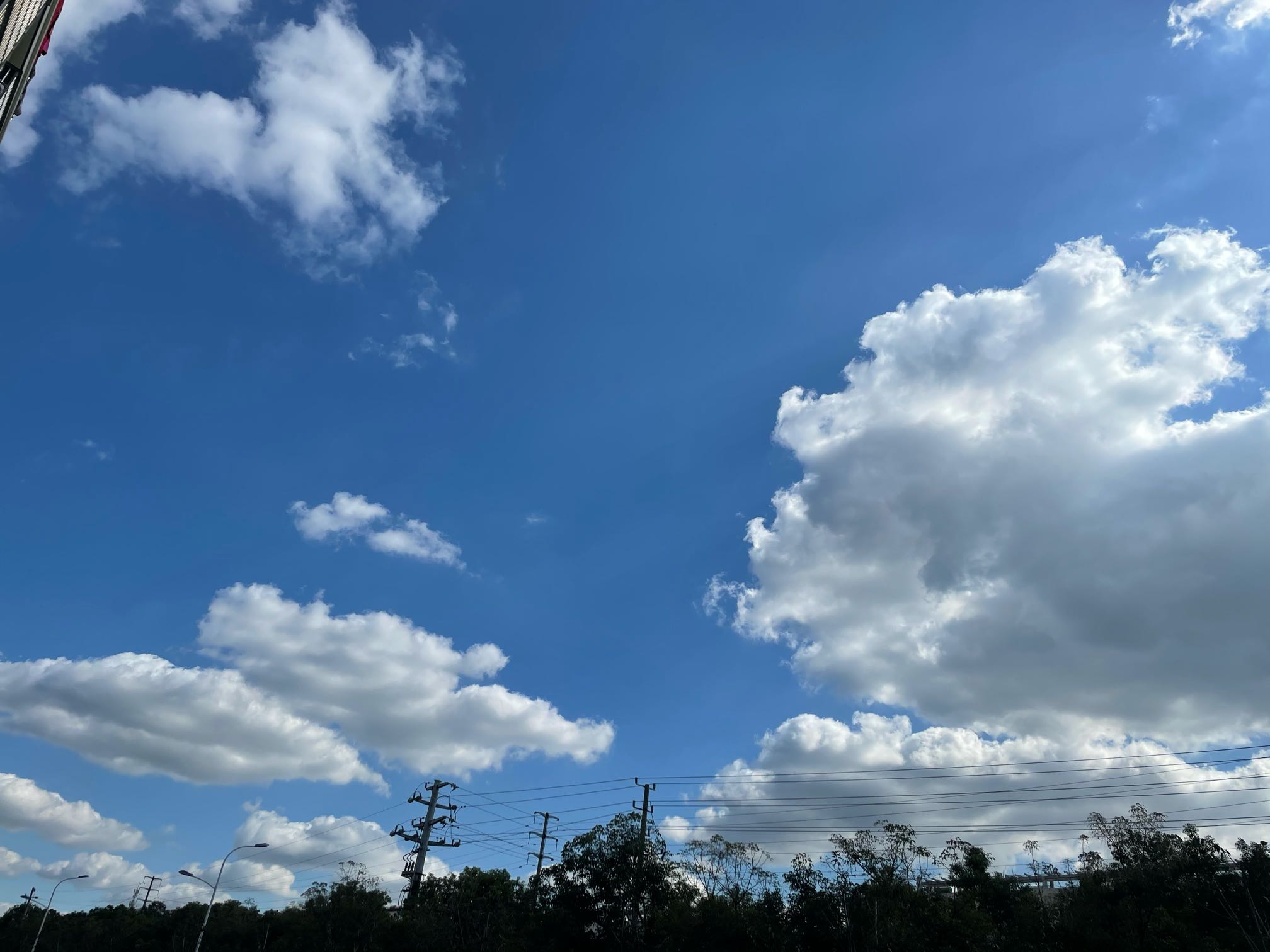 今天天氣真好